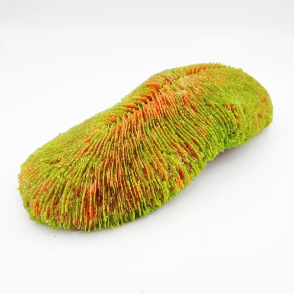 Kunstig koral Polyphyllia talpina (Green) 24x11x6 cm
